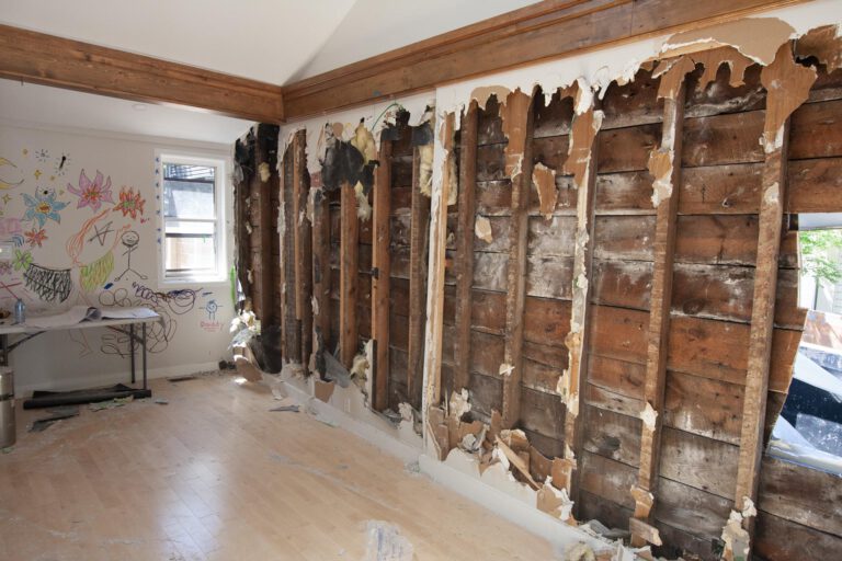stripped interior wall, insulation and plaster removed